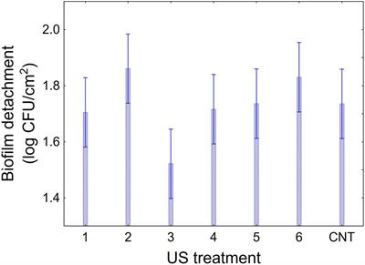 Ultrasound can increase biofilm formation by Lactiplantibacillus plantarum and Bifidobacterium spp.